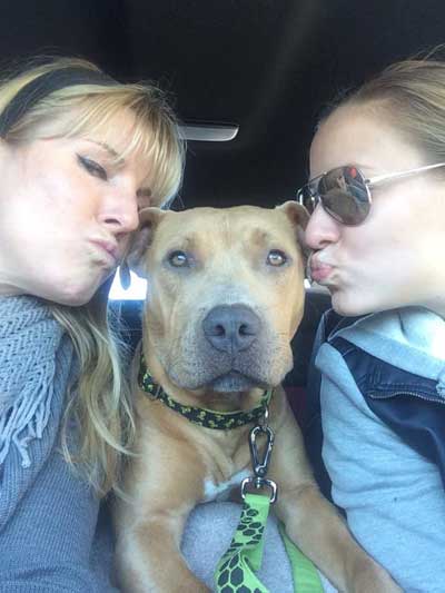 Apollo our first Foster.